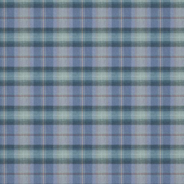 Beachcomber Southerness