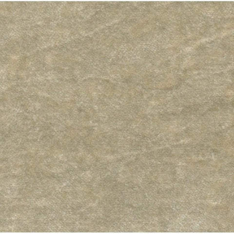 Pastiche Crushed Velvet Collection: Plain Lichen - SR18053