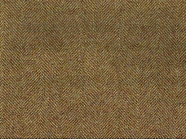 Moon Glamis Goldcrest